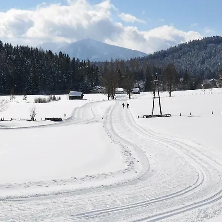 Gästehaus ERLE Ramsau am Dachstein Exterior foto