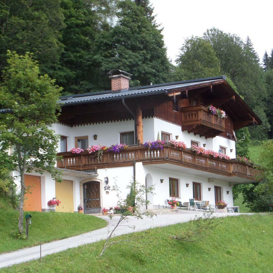 Erle * Ramsau am Dachstein